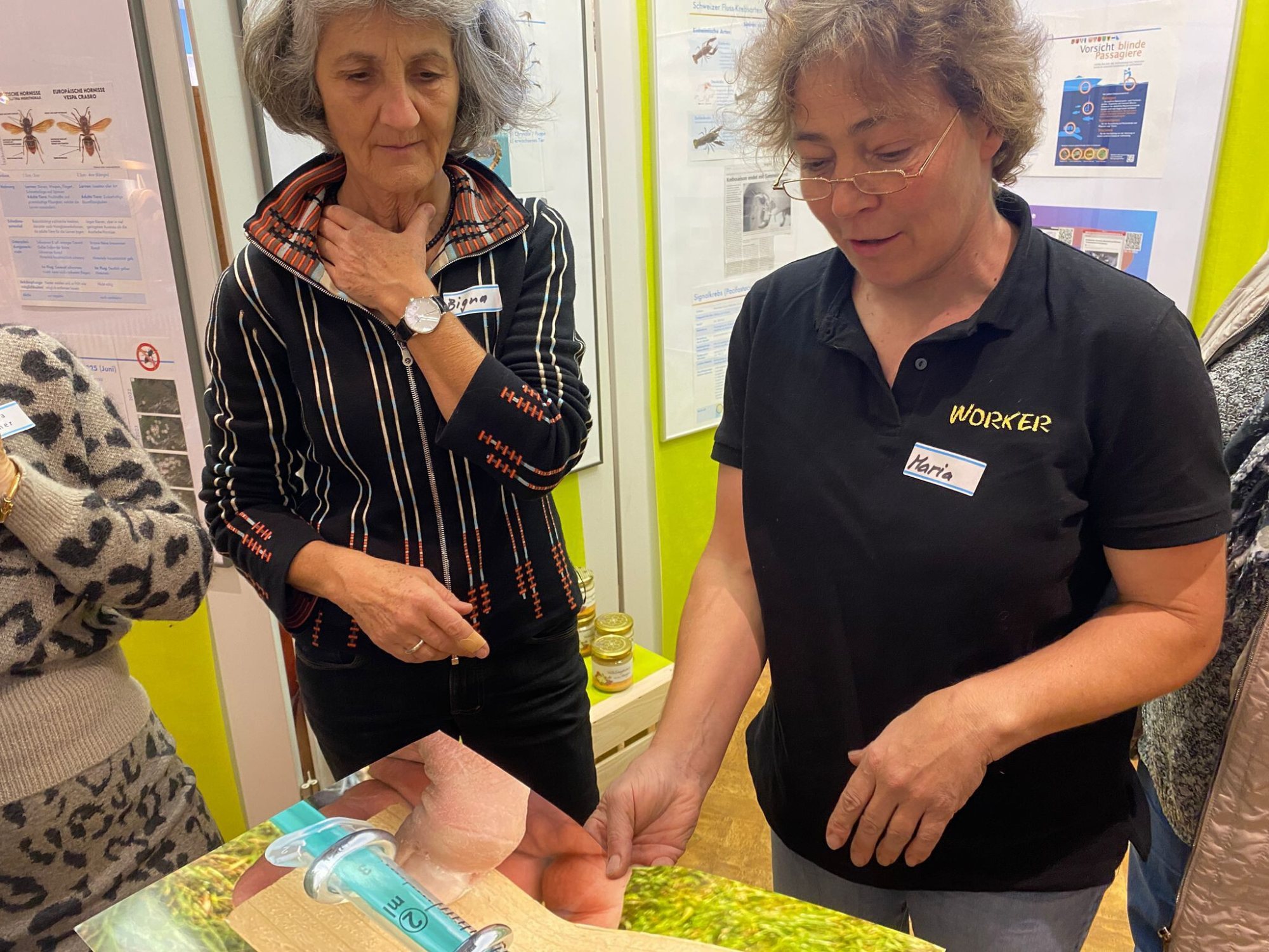 Tag der Asiatischen Hornisse – vielen Dank! – Bild 5
