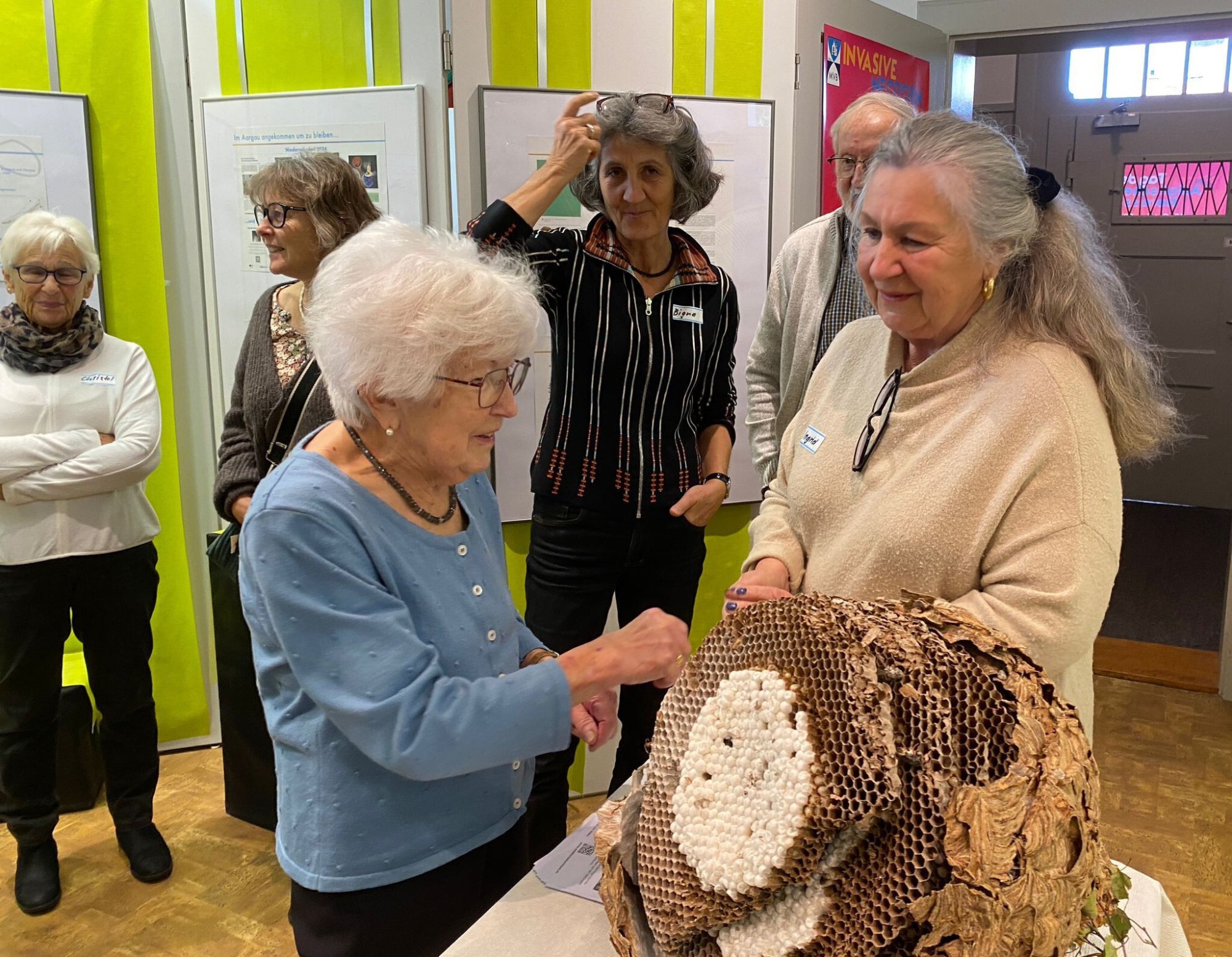 Tag der Asiatischen Hornisse – vielen Dank! – Bild 6