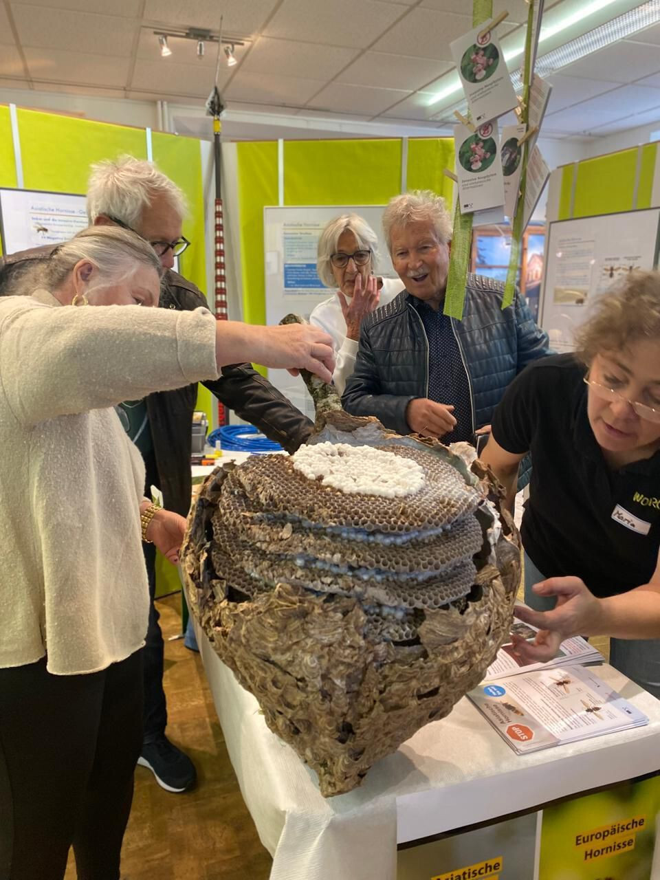 Tag der Asiatischen Hornisse – vielen Dank! – Bild 12