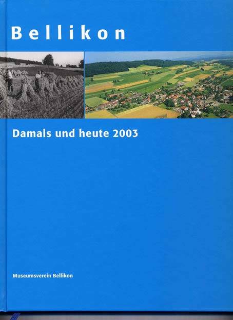 Geschichte des Vereins