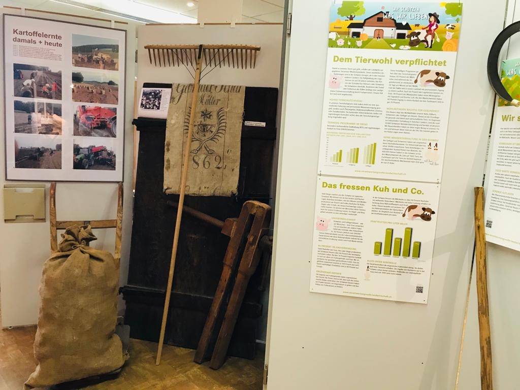 Dauerausstellung «Bellikon» – Bild 1